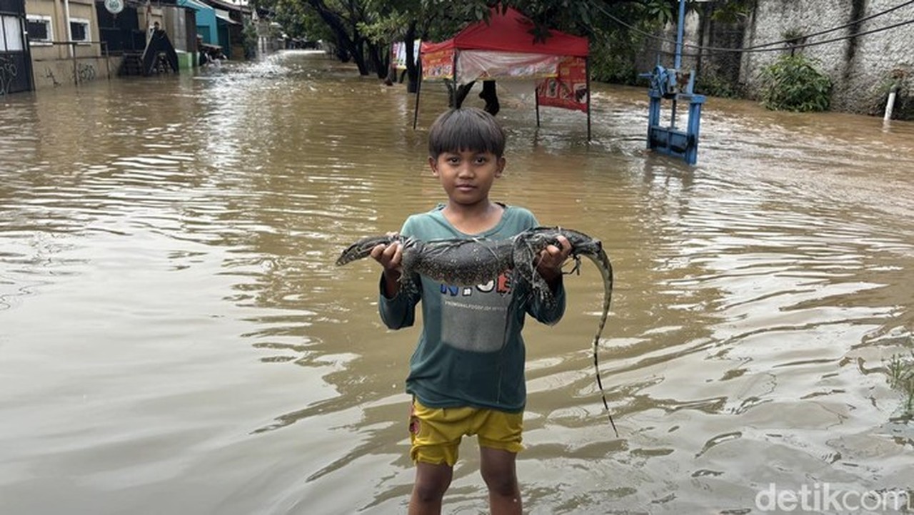 Warga Bekasi Tangkap Ular Sanca dan Biawak di Tengah Banjir Kranji