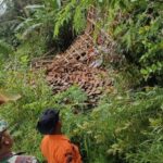 Tanah Bergerak di Sukamakmur Bogor: 60 KK Terdampak, Pemkab Kaji Relokasi Warga