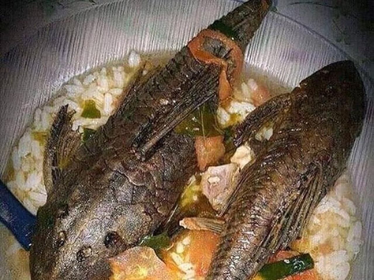 Warga Jakarta Diimbau Tak Konsumsi Ikan Sapu-sapu dari Kali Tercemar